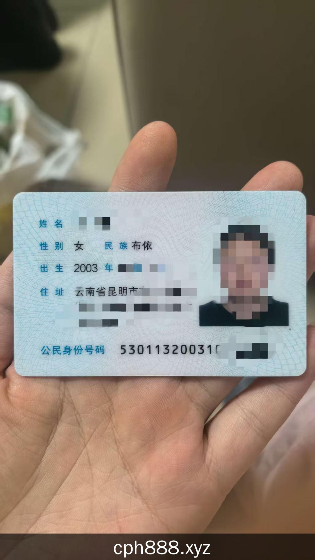 精彩照片